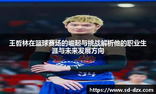 王哲林在篮球赛场的崛起与挑战解析他的职业生涯与未来发展方向